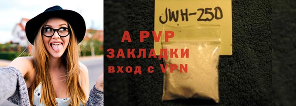 стаф Липки