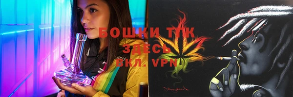 гашик Ладушкин