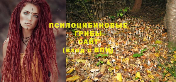 спиды Лиски