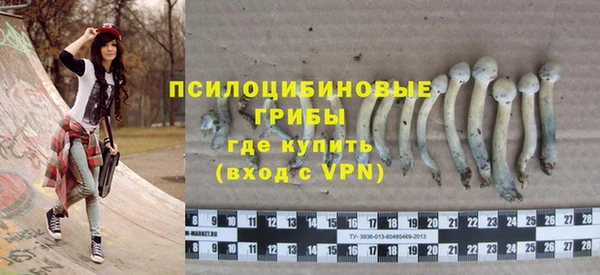 гашик Ладушкин