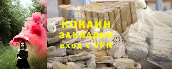 гашик Ладушкин
