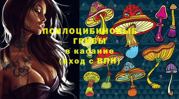 стаф Липки