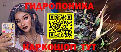 гидропоника Гагарин