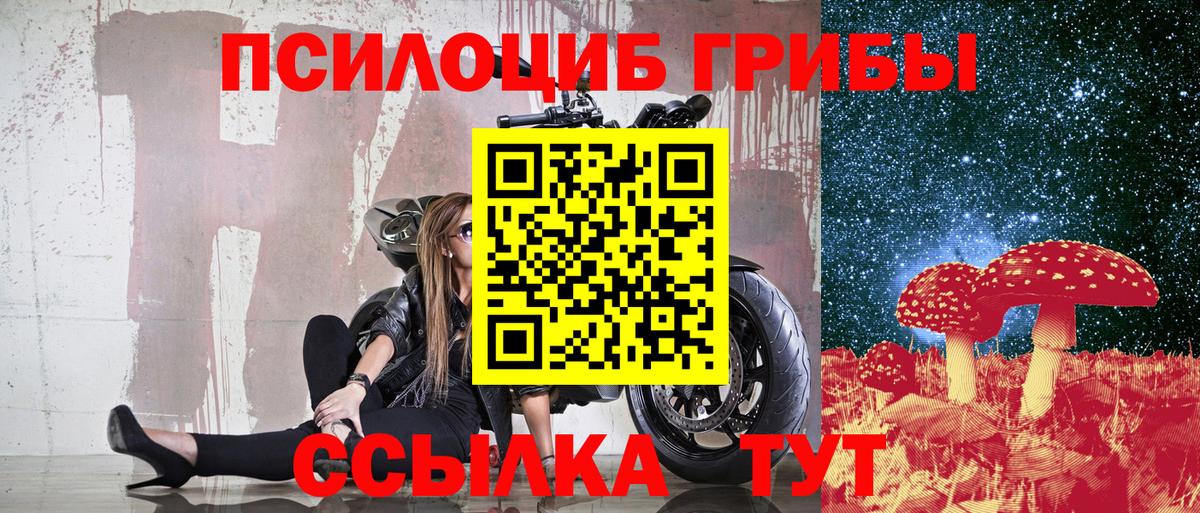 где продают   Долгопрудный  Галлюциногенные грибы GOLDEN TEACHER  Галлюциногенные грибы Cubensis 